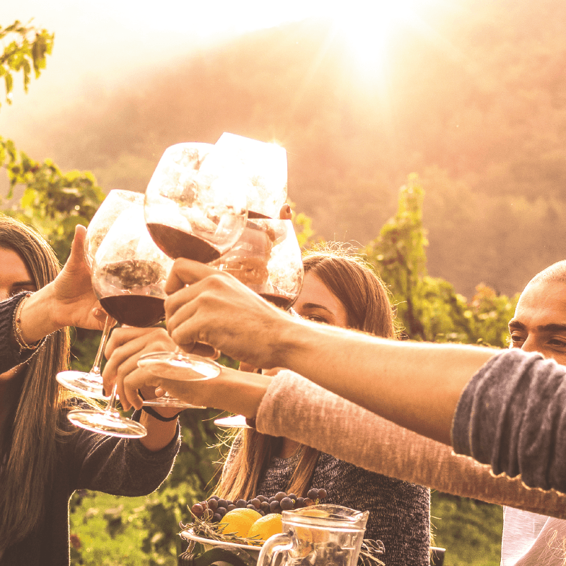 Coonawarra Cabernet Celebrations 2020 - Brand's Laira