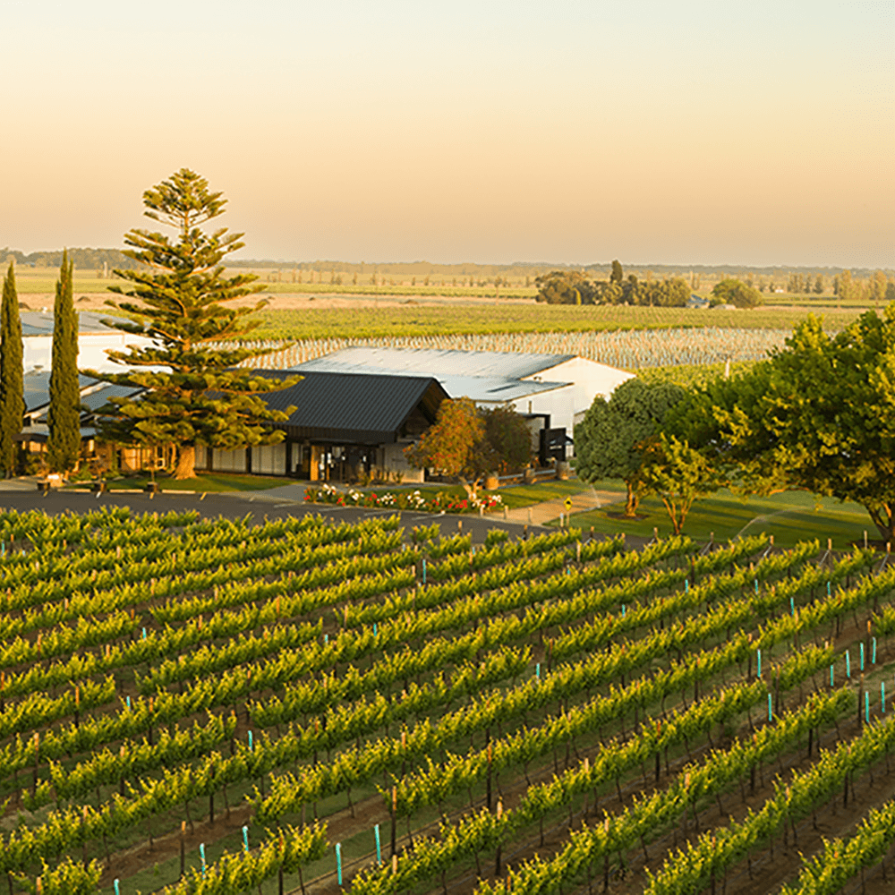 Discover Coonawarra - Brand's Laira